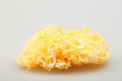 太空生存建造游戏《世代流亡》现已登录Steam平台 预计2025年推出